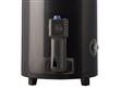 Termotanque RHEEM TGNP080RH 80 Lts A Gas De Pie Superior